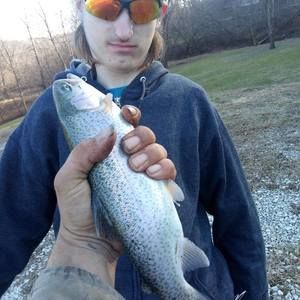 Meet your Posher, Nick